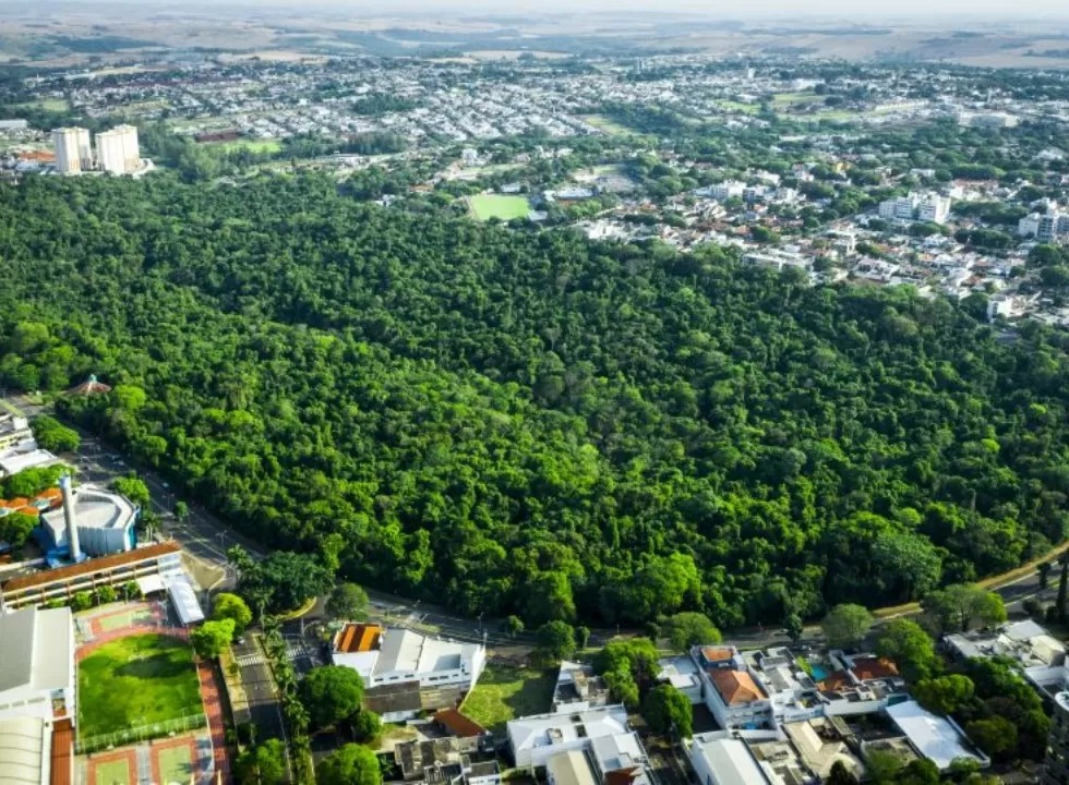 Maringá-realiza-"Semana-do-Meio-Ambiente"-entre-quarta-feira-(5)-e-domingo-(8)