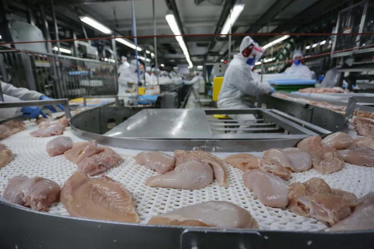 brasil-exporta-4,2%-a-mais-de-carne-de-frango