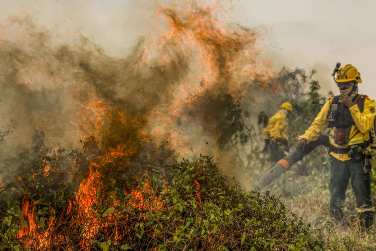 queimadas-no-pantanal-ja-atingem-1-3-milhao-de-hectares-e-aumentam-novamente