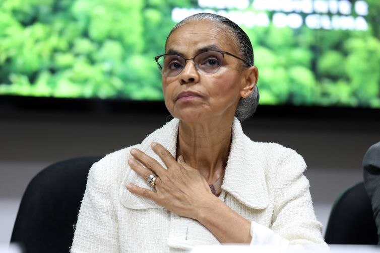 ministra-destaca-a-importancia-da-participacao-publica-no-plano-clima