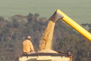 CMN libera R$ 10 bilhões para inovação e modernização do agronegócio