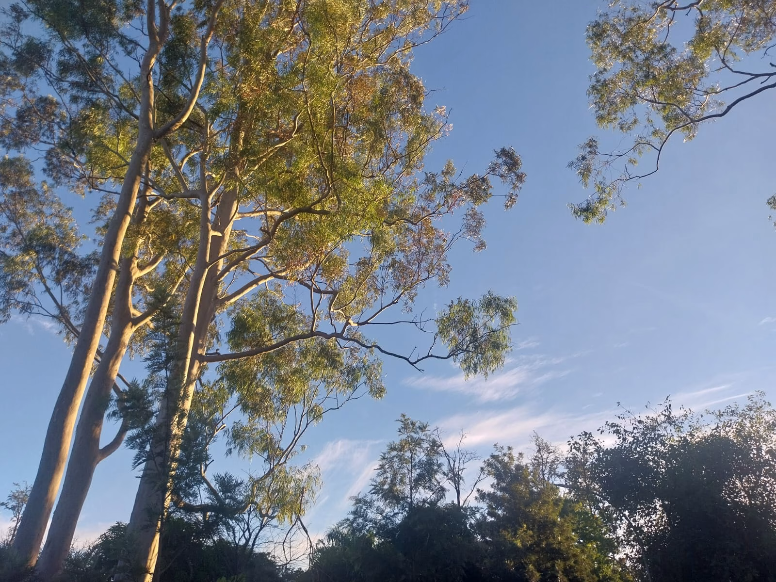 Maringá terá sábado ensolarado com máxima de 27°C e ar muito seco