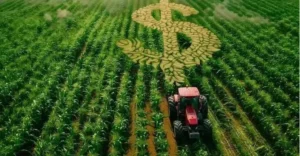 Paraná: produtores rurais apostam em consórcios para renovar equipamentos agrícolas