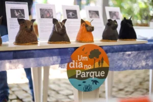 Parque do Ingá recebe atividades de conservação ambiental neste domingo
