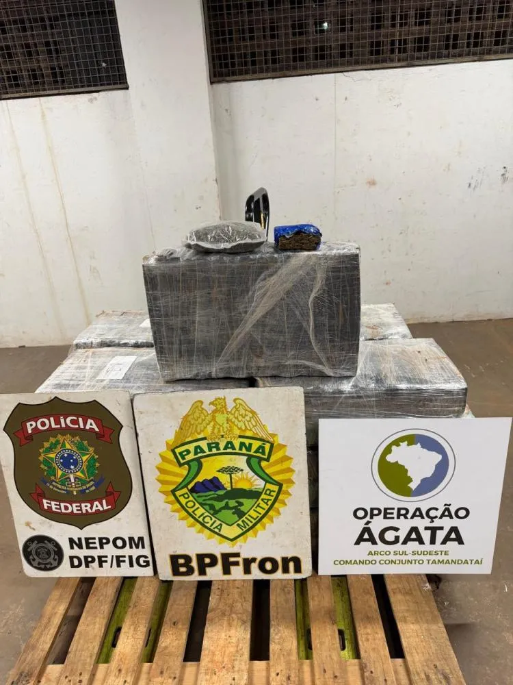 Polícia apreende 373 kg de maconha em operação na fronteira de Foz do Iguaçu