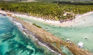 Poluição Sonora de Embarcações Compromete Comunicação entre Peixes em Recifes