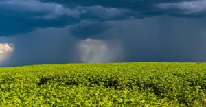 Produtores rurais já podem se inscrever para renegociar dívidas no Paraná