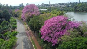 3º Piquenique Literário acontece sábado no Parque Jaboti em Apucarana