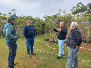Arapongas estuda modelo de Londrina para expandir programas de sustentabilidade