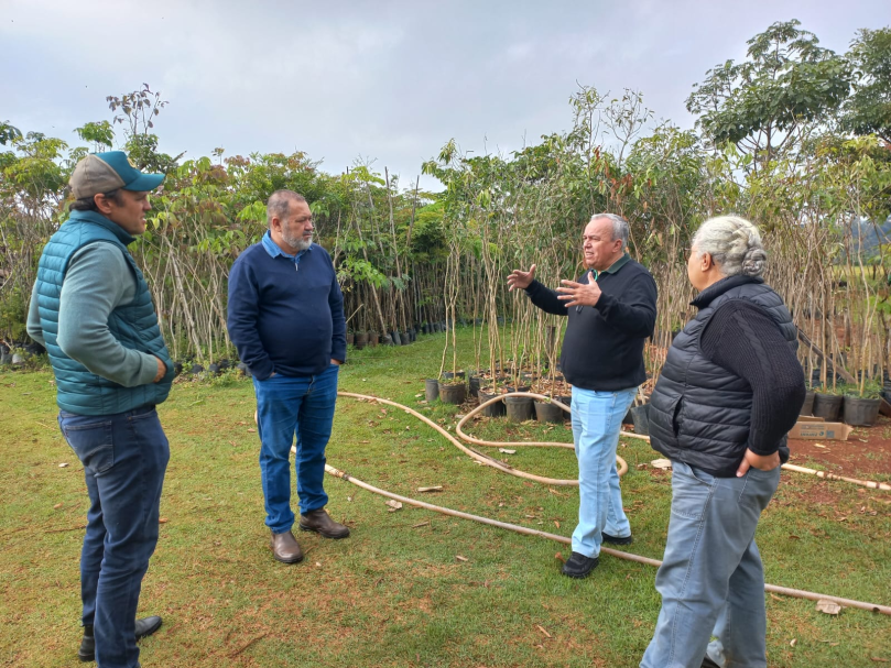 Arapongas estuda modelo de Londrina para expandir programas de sustentabilidade