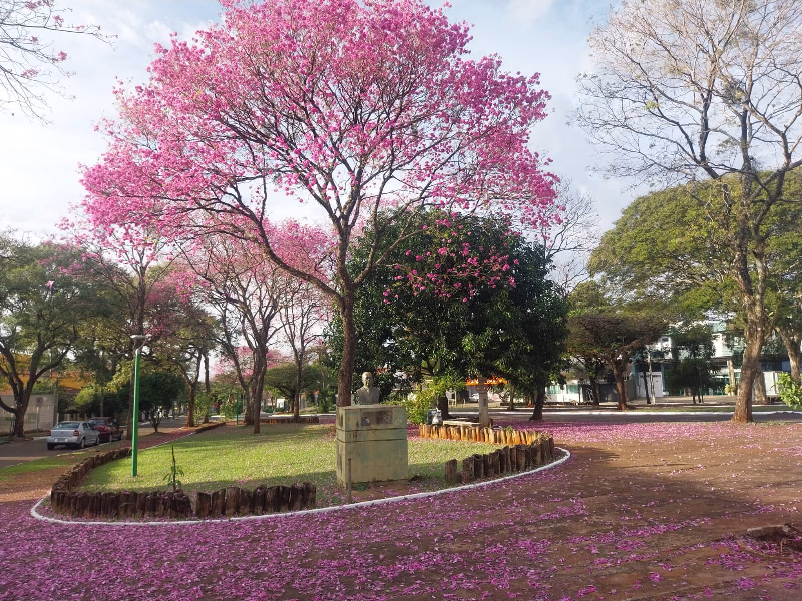 Domingo em Maringá: céu nublado, 26°C e sem chuva na previsão