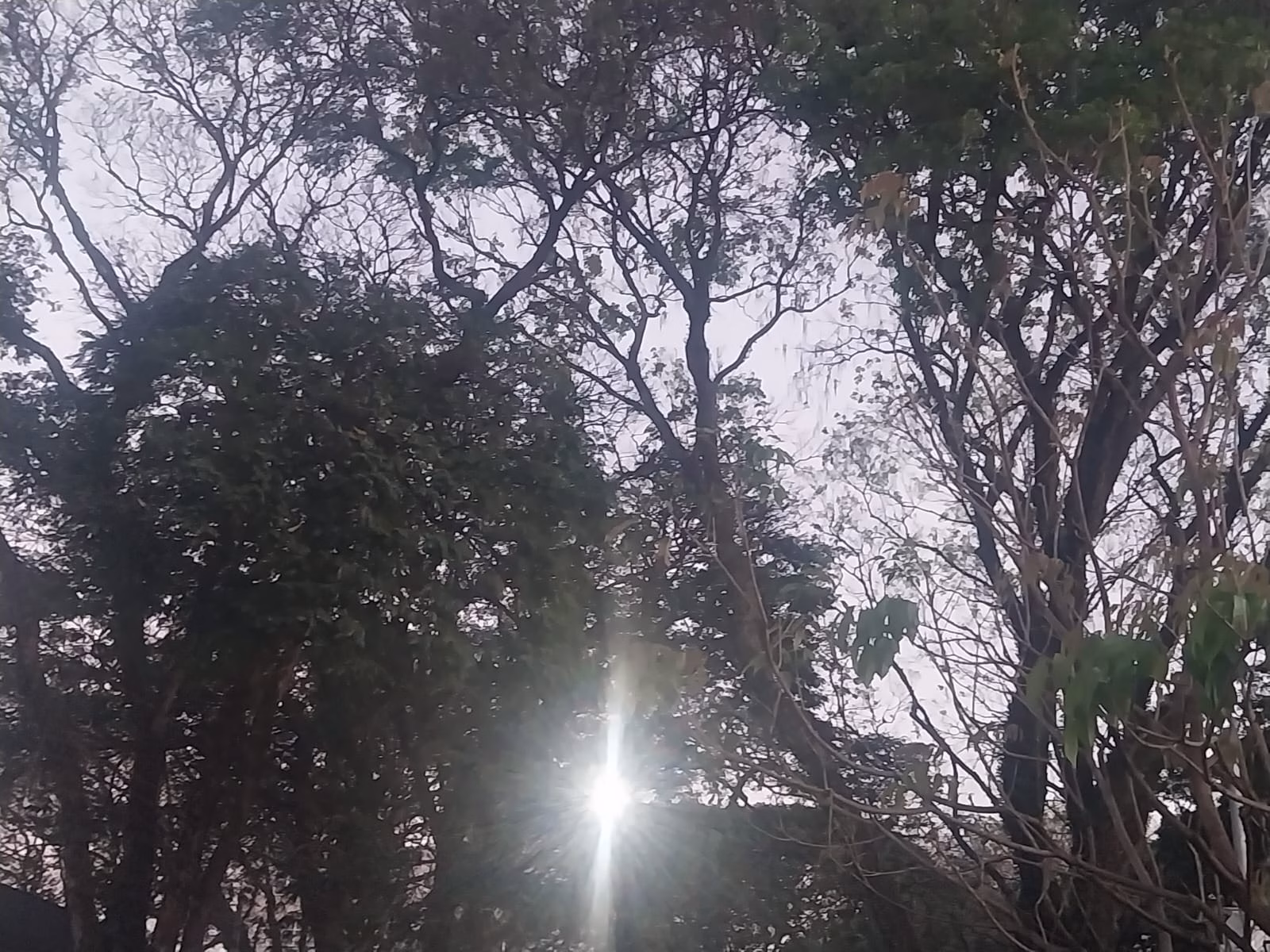 Domingo em Maringá: nuvens e sol com máxima de 30°C