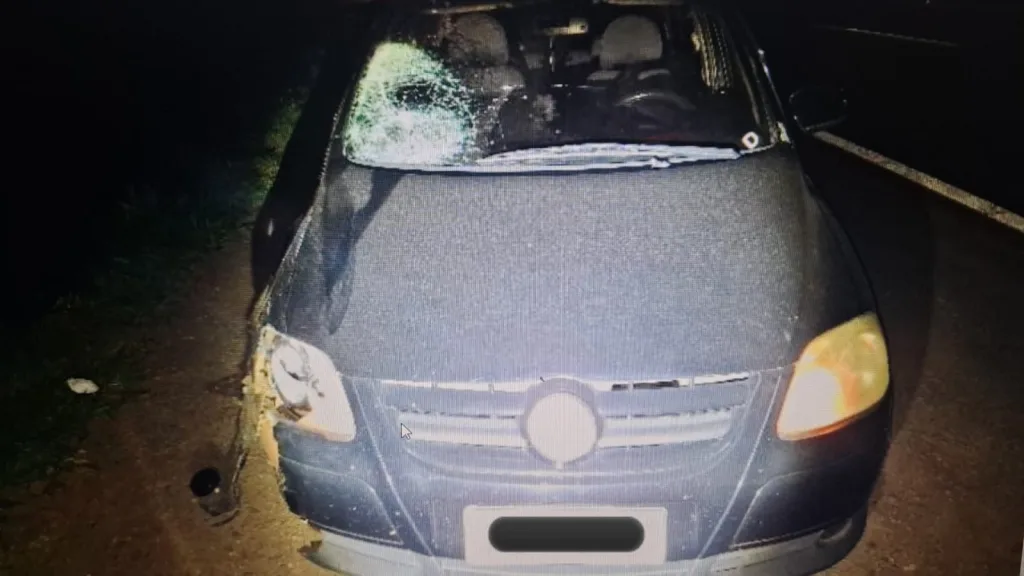 Homem morre atropelado na PR-444 entre Mandaguari e Arapongas