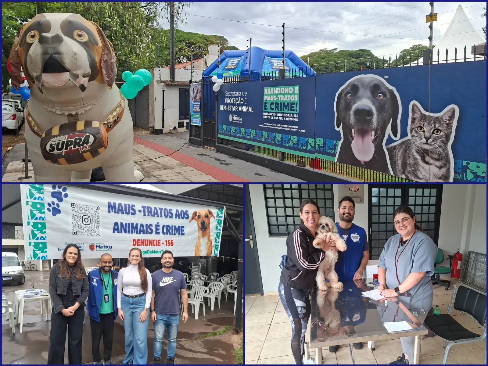 Maringá oferece vacinação gratuita para pets em ação da Prefeitura