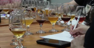 Maringá realiza concurso de cerveja caseira com 150 amostras e jurados internacionais