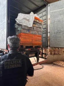 PF destrói 11 toneladas de drogas em operação na fronteira do Oeste paranaense