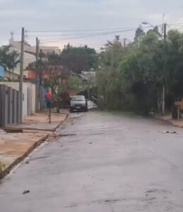 Tempestade rápida causa estragos generalizados em Apucarana com quedas de árvores