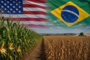 Brasil equipara-se aos EUA em exportações agrícolas, marcando novo marco