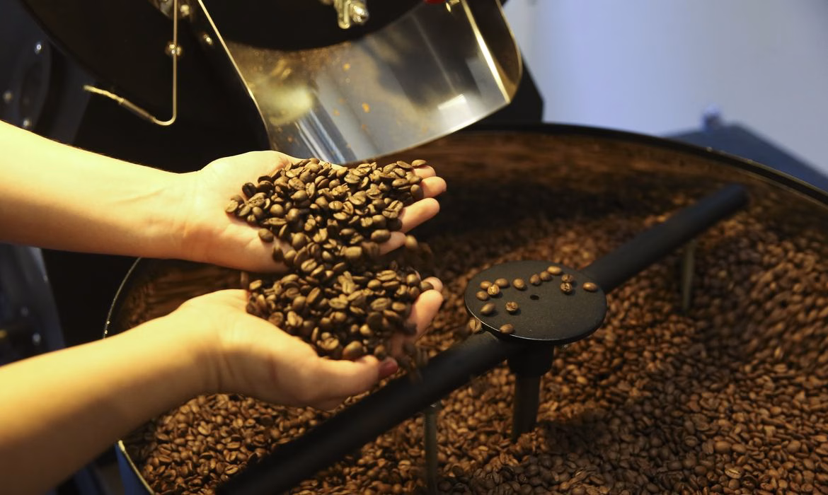 Café atinge R$ 1.446 por saca em Maringá; confira outras cotações