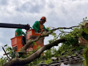 Chuva forte mobiliza 200 servidores em operação de limpeza em Maringá