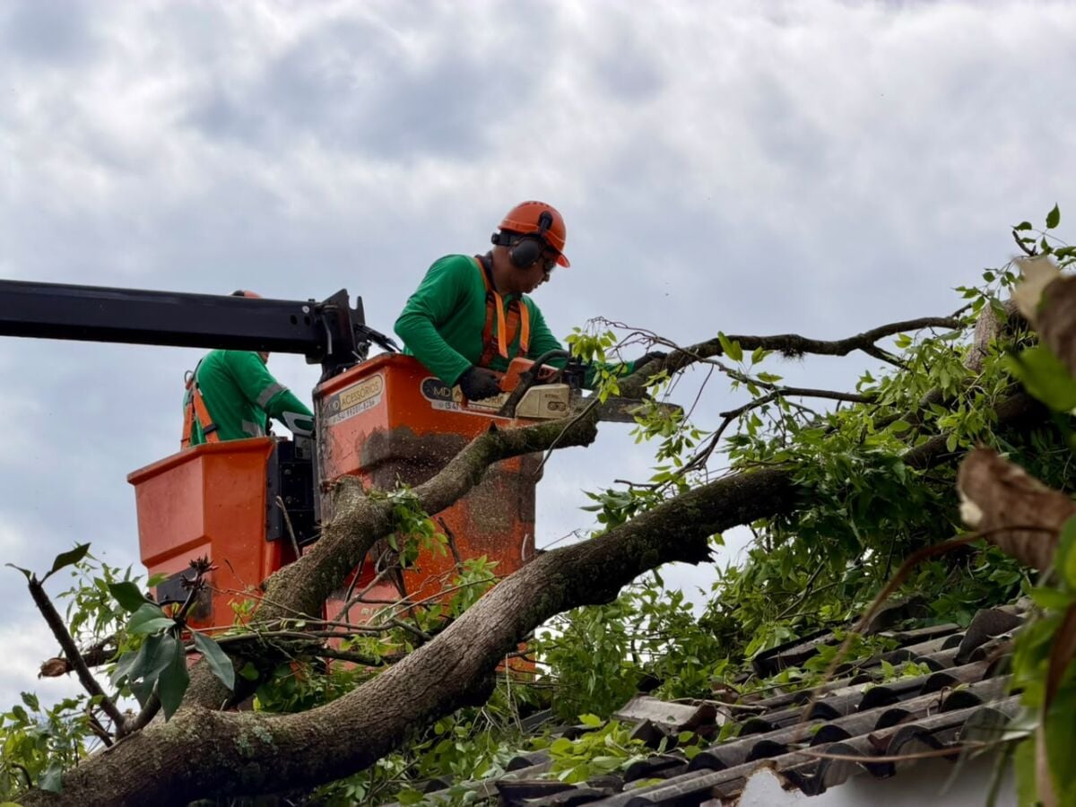 Chuva forte mobiliza 200 servidores em operação de limpeza em Maringá