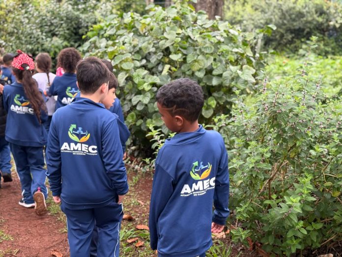 Estudantes de Cambira exploram história em visita ao Sítio Rochedo