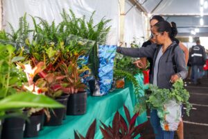 Expoflor 2026: flores, artesanato e solidariedade movimentam Maringá até setembro