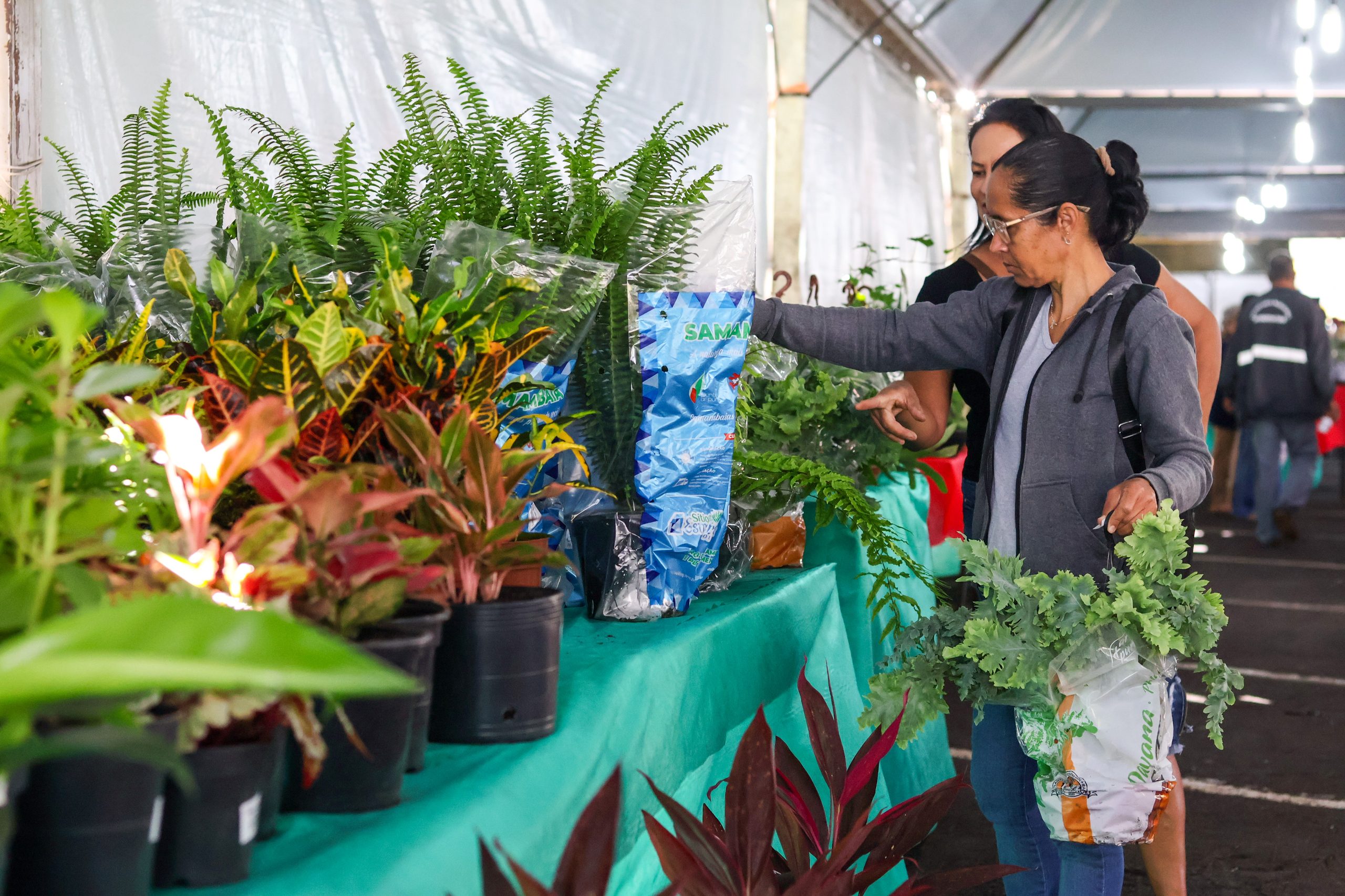 Expoflor 2026: flores, artesanato e solidariedade movimentam Maringá até setembro