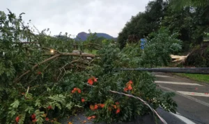 Frente fria traz risco de tempestades e granizo ao Paraná nos próximos dias