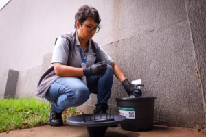 Maringá apresenta iniciativa contra dengue no começo da Primavera