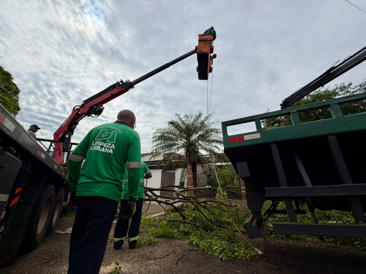 Maringá Mobiliza Equipes para Recuperar Áreas Afetadas por Temporal no Fim de Semana