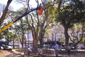 Maringá reforça defesas contra temporais com tecnologia e estrutura urbana