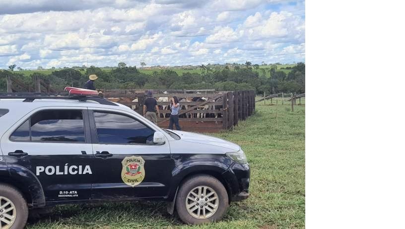 Operação policial gigante prende quadrilha especializada em furto de gado no Paraná