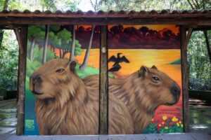 Parque do Ingá ganha murais sobre fauna e flora com projeto de conscientização ambiental