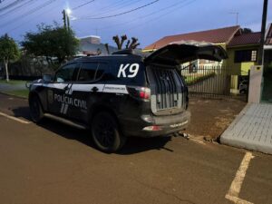 Polícia desmancha quadrilha familiar que lucrava com tráfico e armas em Maringá