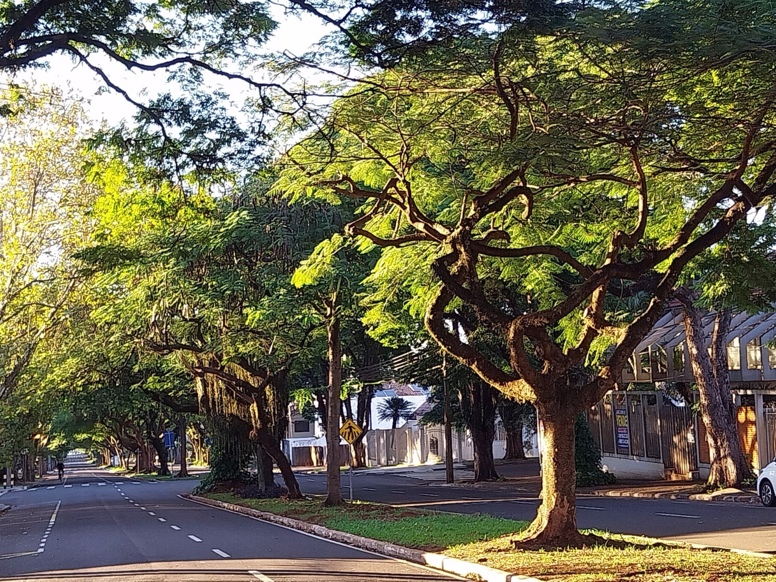 Tempo em Maringá: sábado amanhecerá com 20°C e chuva à tarde