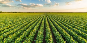 Agricultura do PR entrega demandas ao governador eleito Sérgio Moro