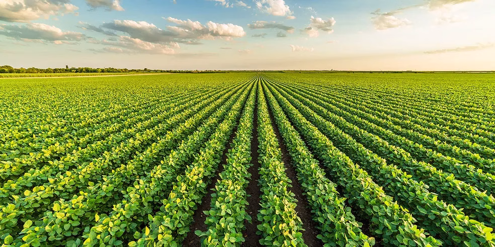 Agricultura do PR entrega demandas ao governador eleito Sérgio Moro