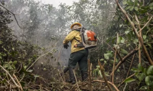 Amazonas registra 540 focos de incêndio em dois dias; governo aponta ação criminosa