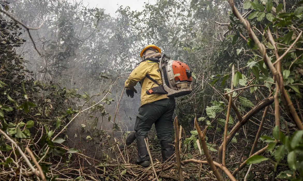 Amazonas registra 540 focos de incêndio em dois dias; governo aponta ação criminosa