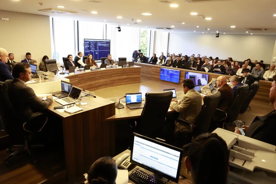 Assembleia do Paraná aprova lei que estabelece direitos para pessoas com Síndrome de Down