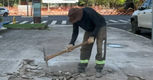 Canteiro da Avenida Getúlio Vargas passa por reforma para receber programação natalina