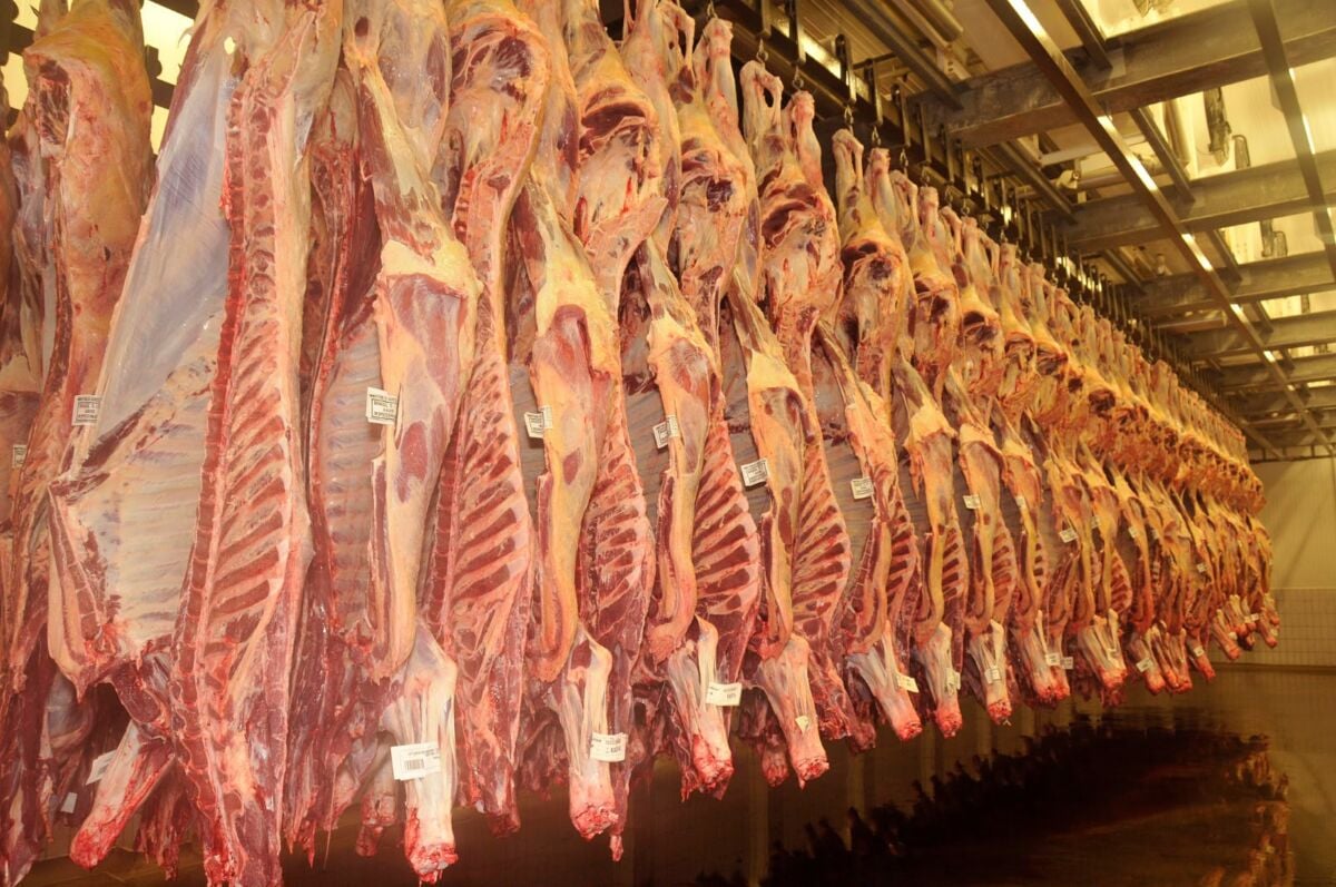 China impõe sobretaxa e força agronegócio a buscar novos compradores