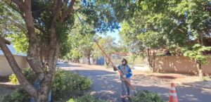 Copel amplia programa de podas preventivas em Maringá e Marialva