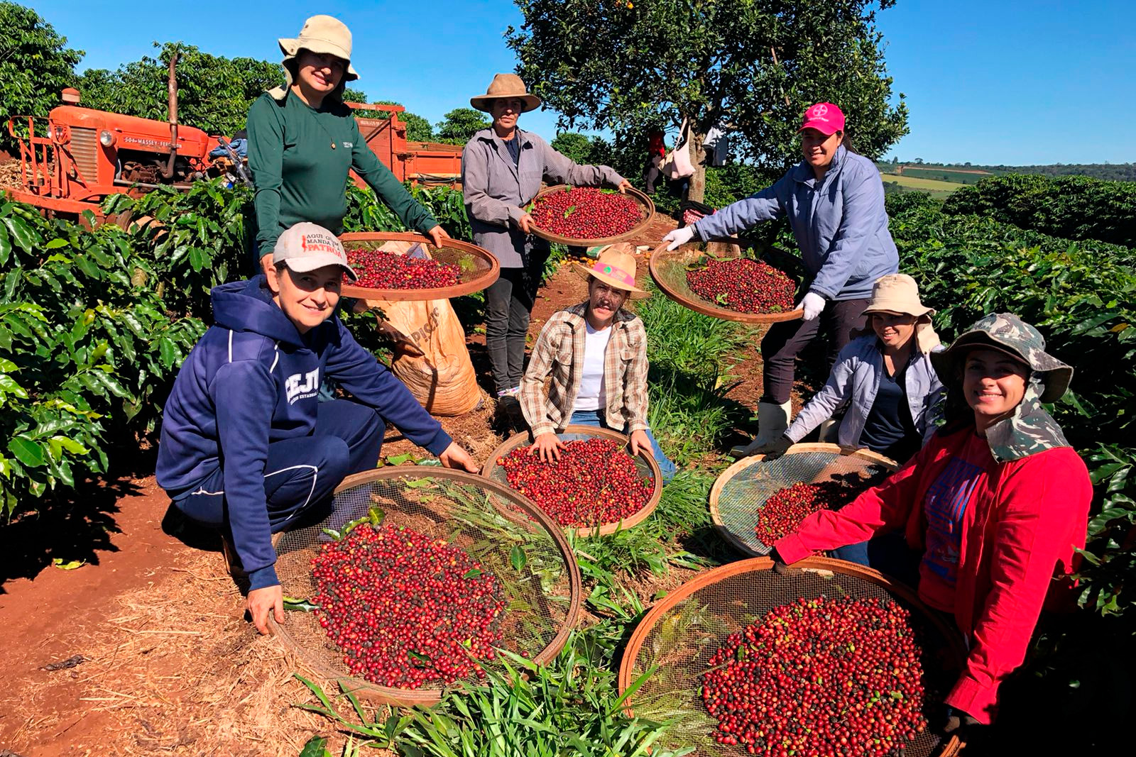 Curitiba recebe Feira da Agroindústria com destaque para protagonismo feminino rural