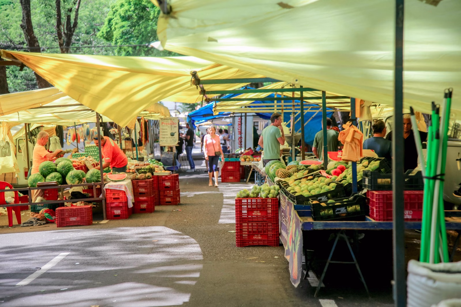 Dia Mundial da Alimentação inspira reflexão sobre escolhas nutricionais