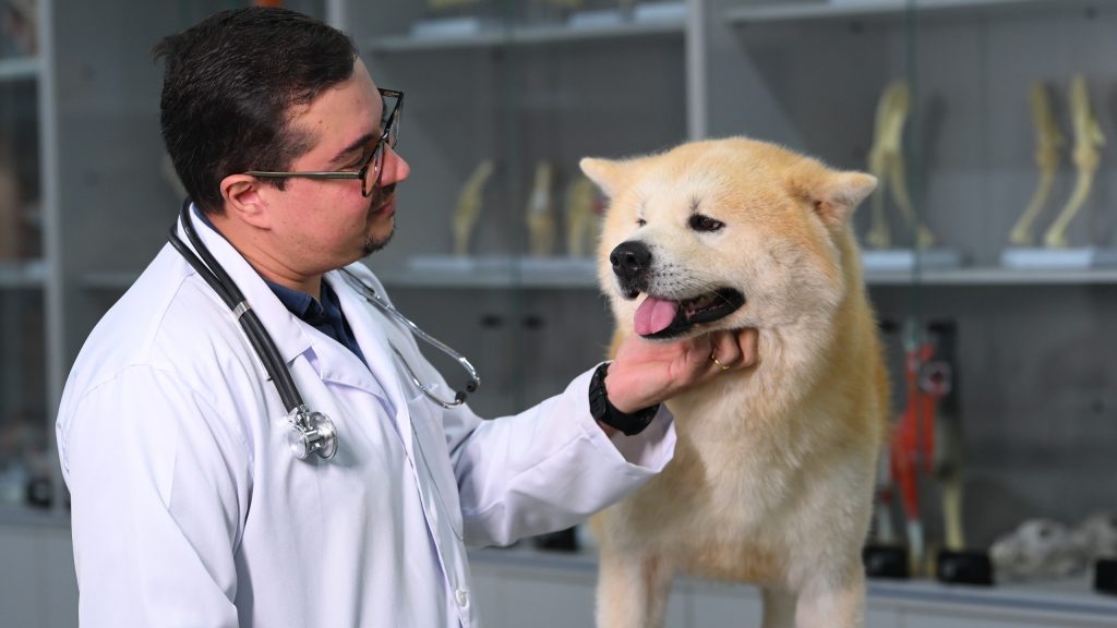 Fatec Ivaiporã abre inscrições para Medicina Veterinária com 60 vagas em 2027