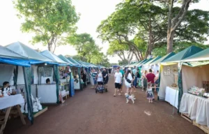 Festa dos Estados e Artesanato começa sexta-feira em Maringá