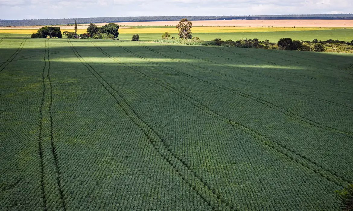 Lei moderniza Seguro Rural brasileiro; sanção publicada no Diário Oficial