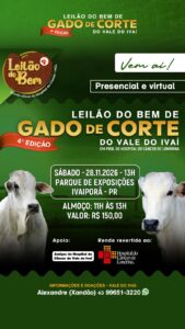 Leilão do Bem de Gado de Corte retorna em novembro com foco em arrecadação para saúde